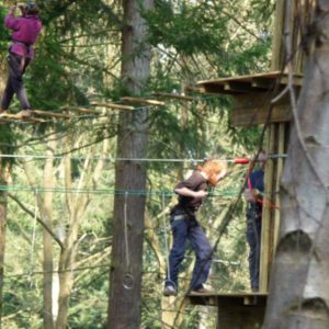 Adventurers navigating a suspended rope and wood platform course high in the trees at a Go Ape park.