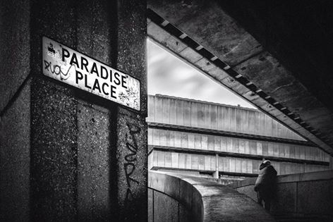 Discovering Paradise in the Wyre Forest
